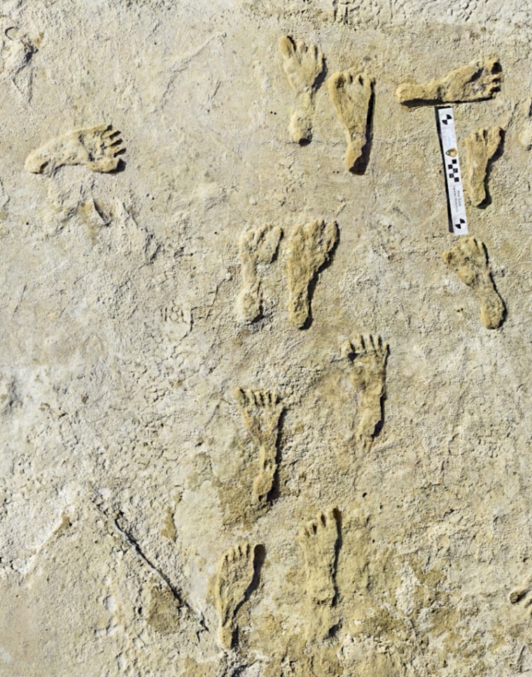 Huellas humanas fosilizadas en Nuevo México.
