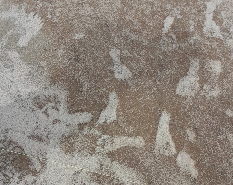 Huellas humanas en el Parque Nacional White Sands, en Nuevo México.

